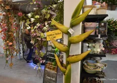Greenflor imports the most exclusive, pretty and 'weird' flowers from all over the world. Here you see an example: a huge heliconia, a specialty available in only very smalll quantities.